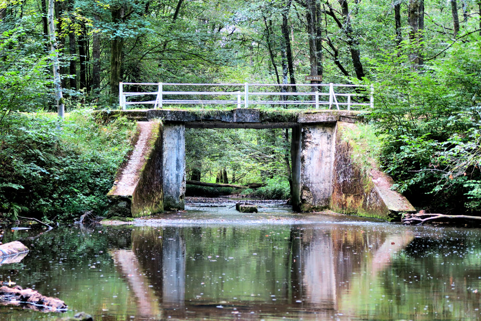 Bois Saint-Michel